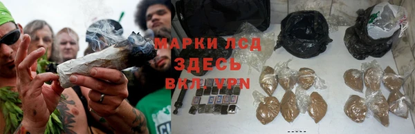 трава Касимов