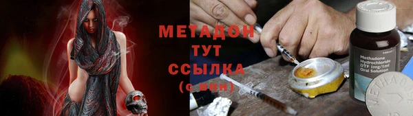 прущие грибы Карпинск