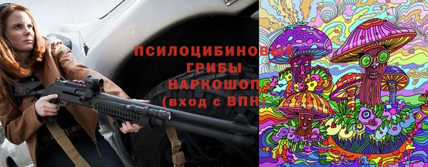 прущие грибы Карпинск