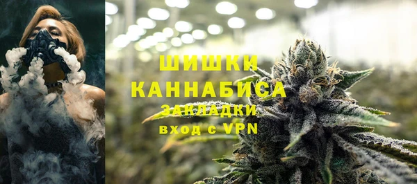 сатива Кинешма