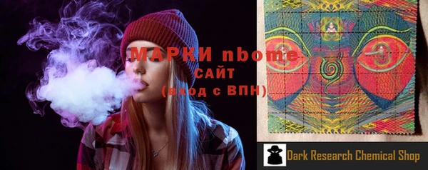 сатива Кинешма